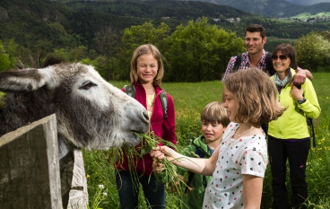 Vacanza con i bambini Alto Adige 01